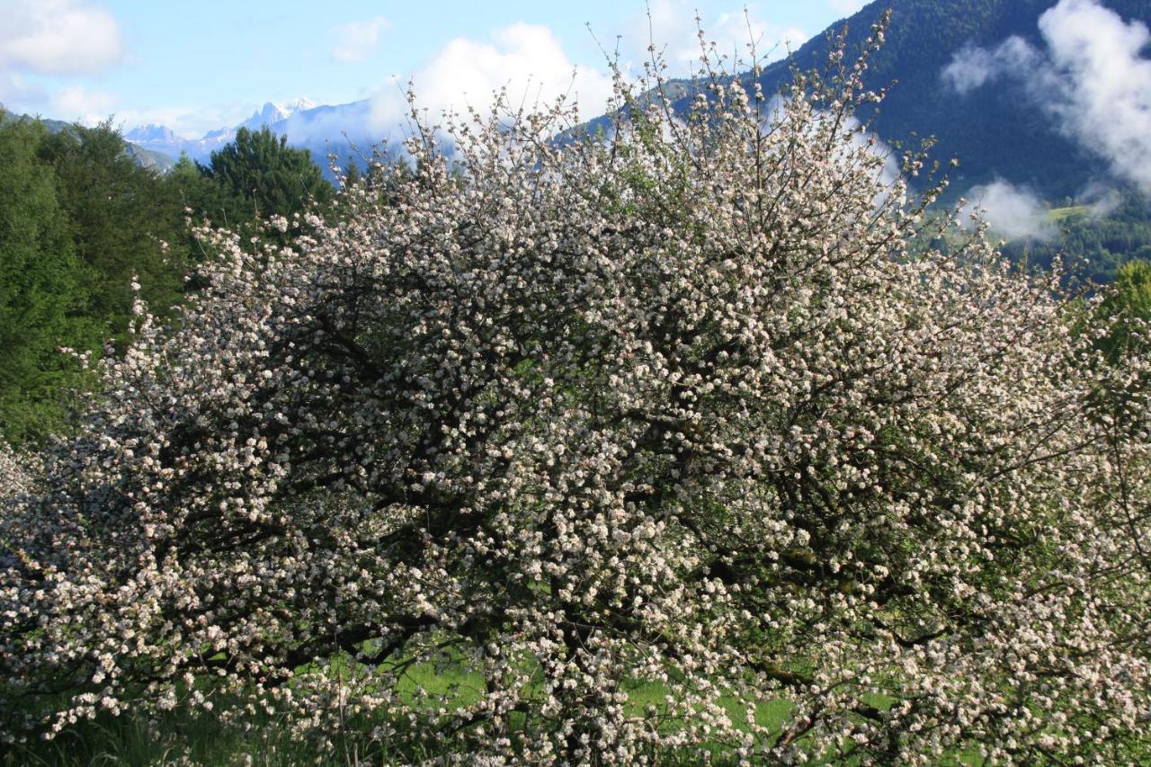 Albergo Diffuso Faller 외부 사진